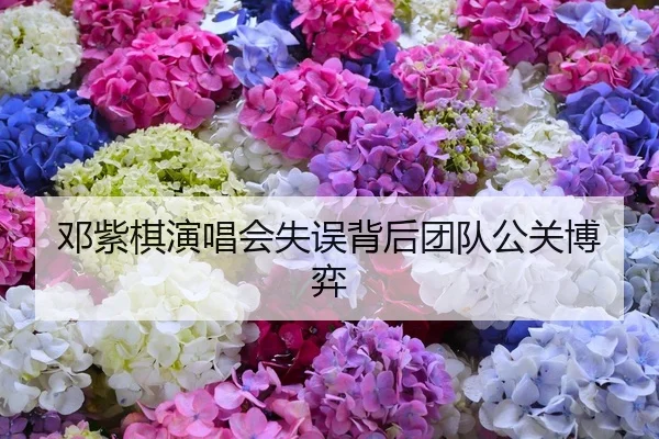 邓紫棋演唱会失误背后团队公关博弈